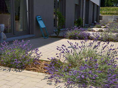 Chambre personne agée home ramillies namur