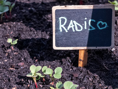 Home pour mamy et papy à Namur