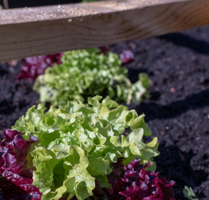 maison pour personnes agées pas cher à namur